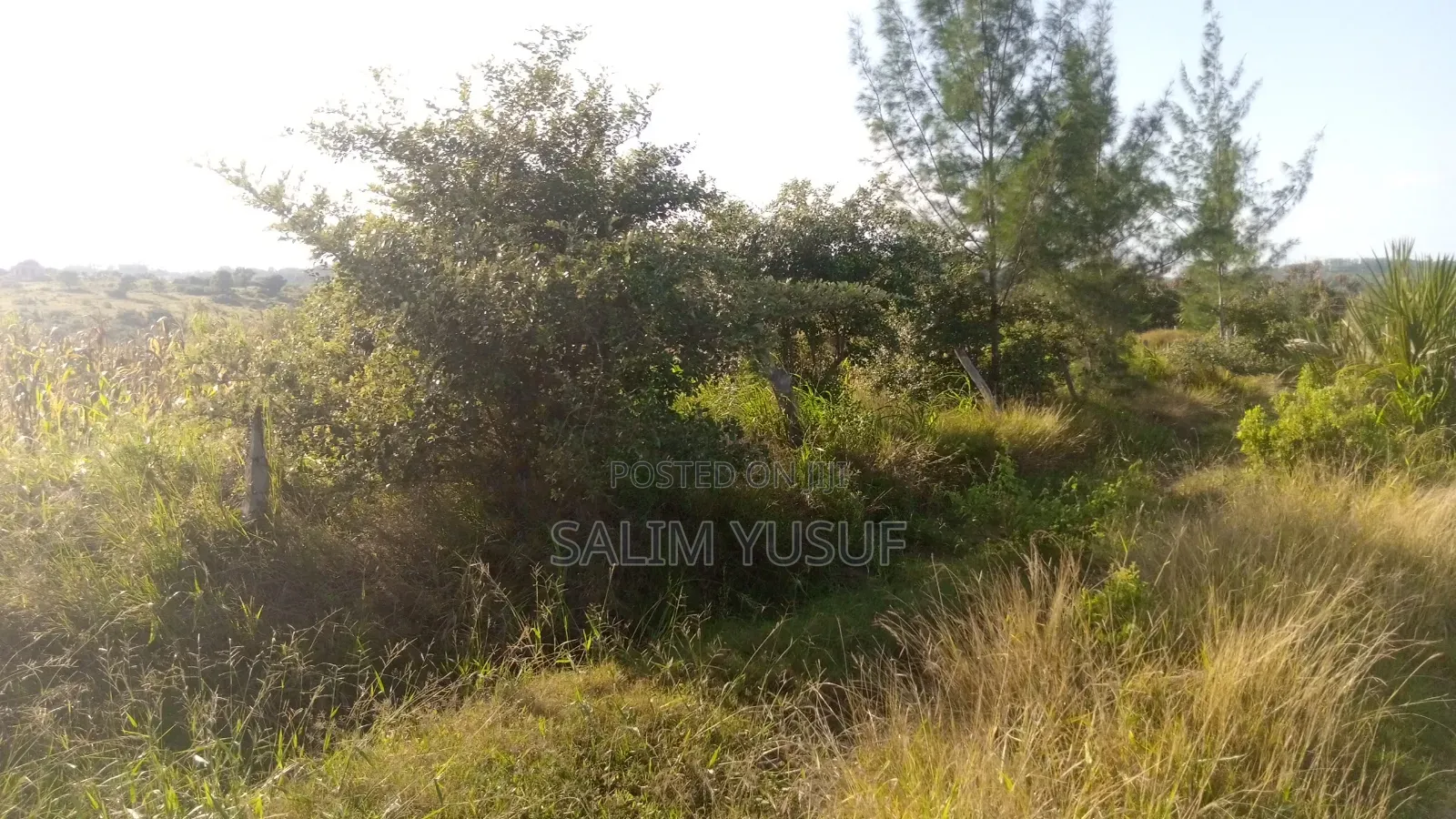 Land on Sale Kwale Count Kundutsi 6 Acres Per Acre