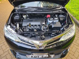 Toyota Axio 2018 Purple