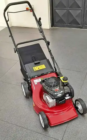Briggs and Stratton Lawn Mower