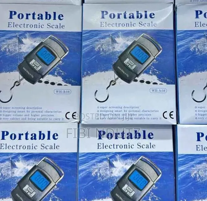 Portable Electronic Scale/Better Power Electronic Scale