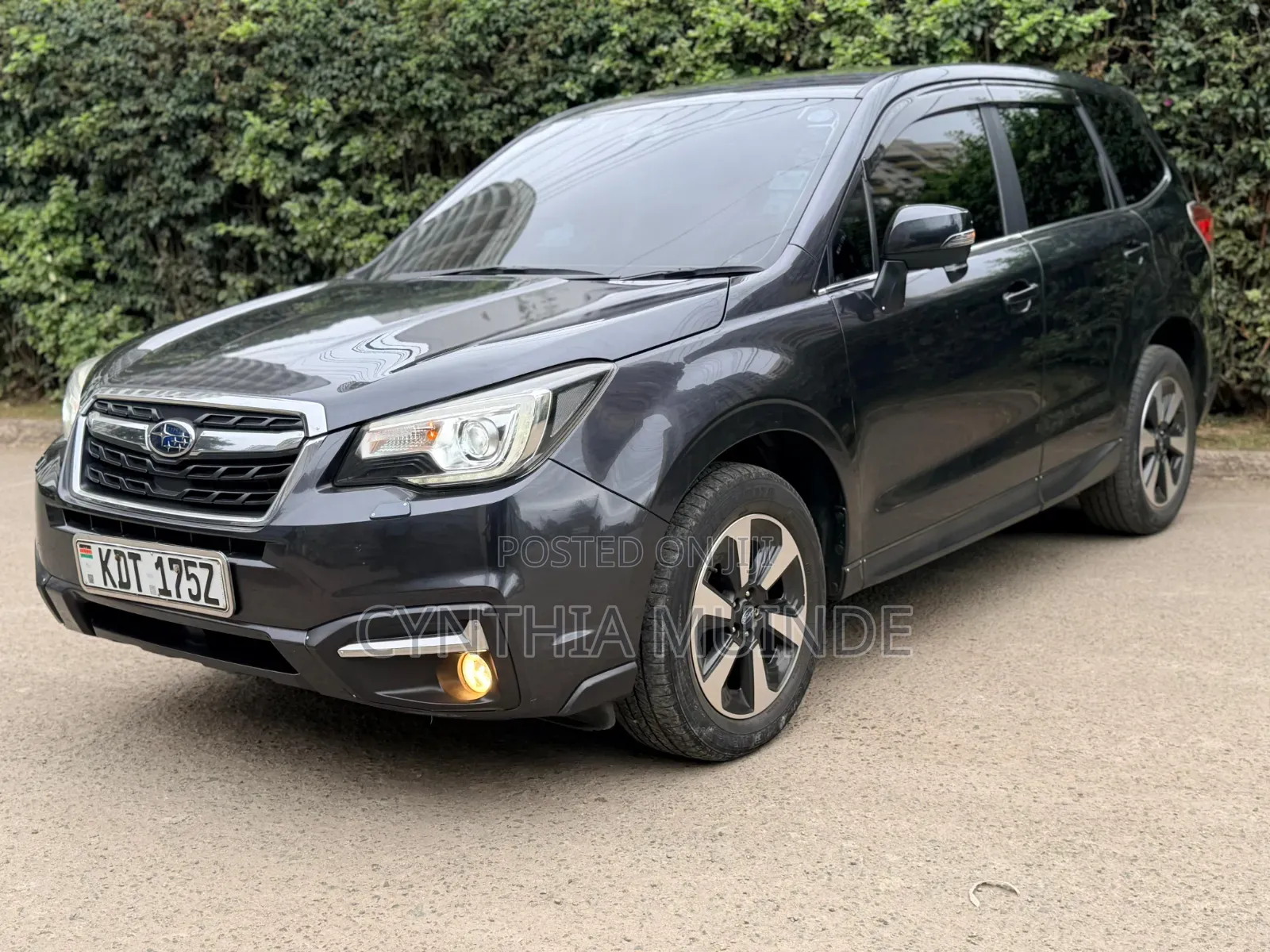 Subaru Forester 2016 Gray