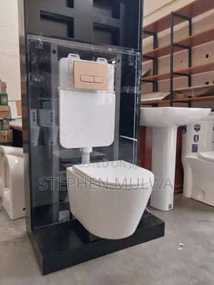 Concealed Cistern Toilet