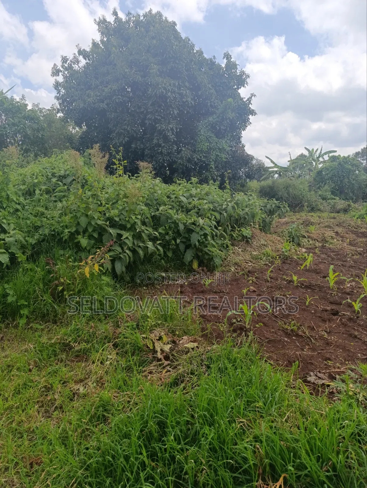 Plot for Lease in Kabete