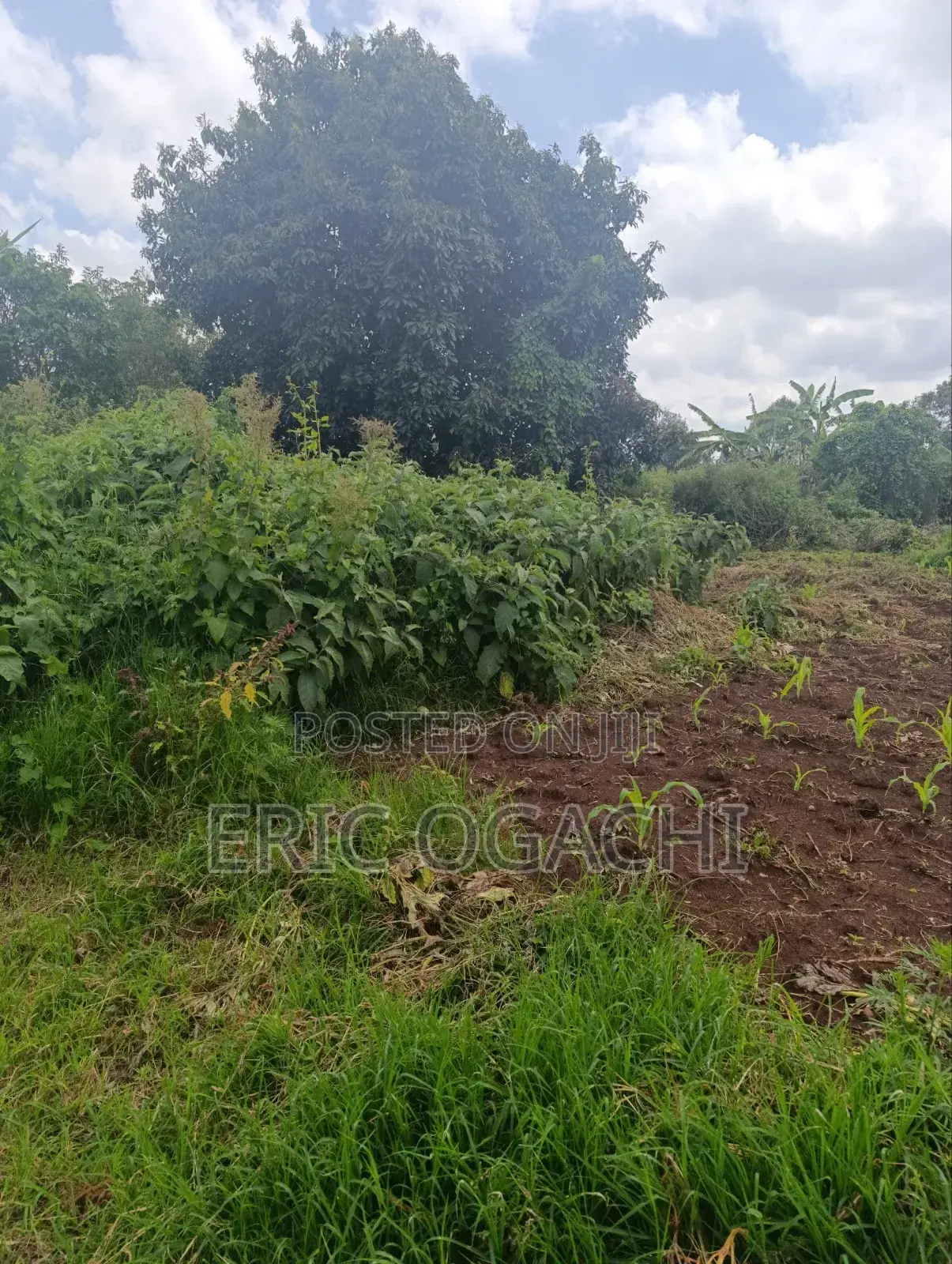 Plot for Lease in Kabete