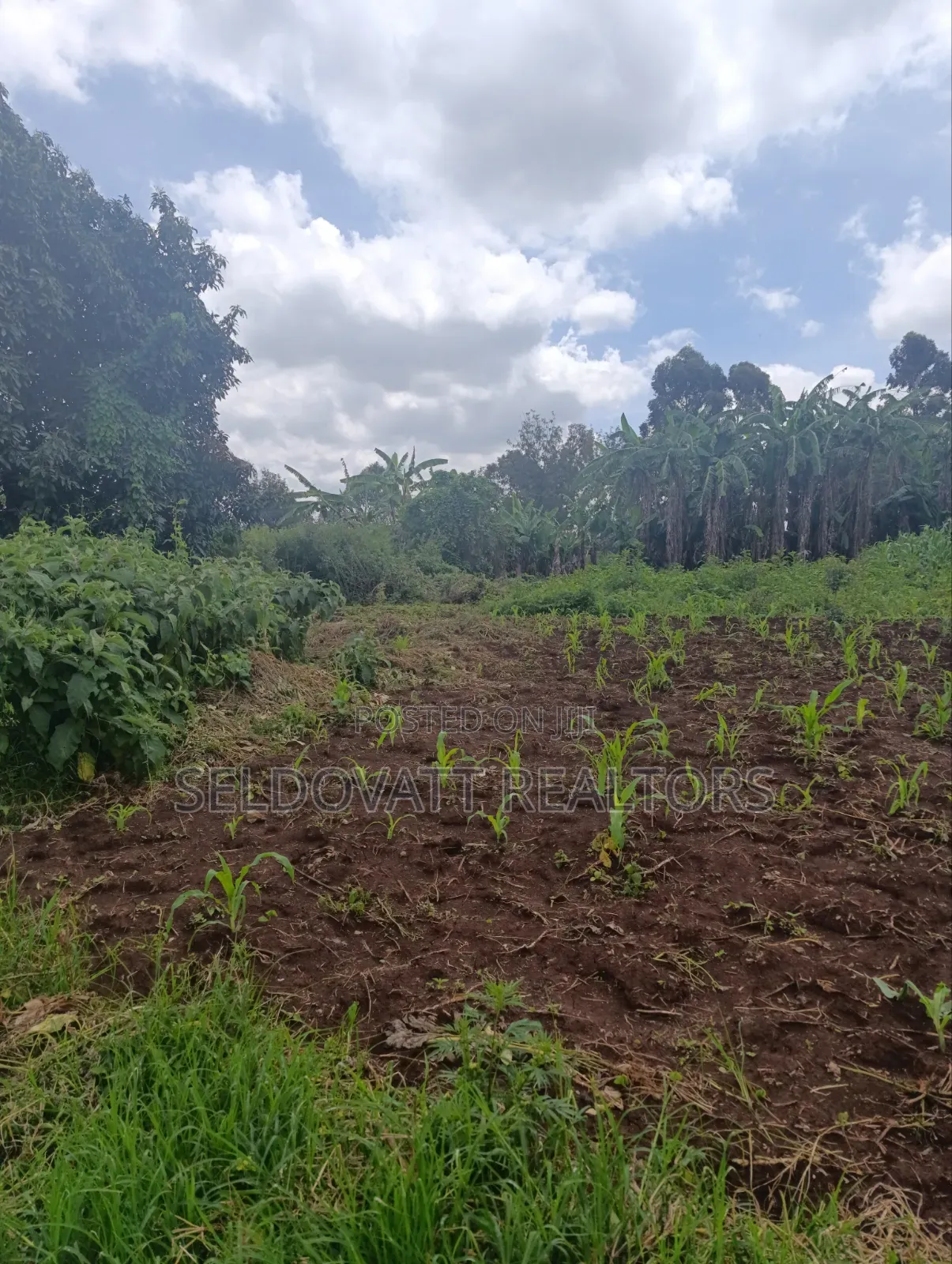 Plot for Lease in Kabete