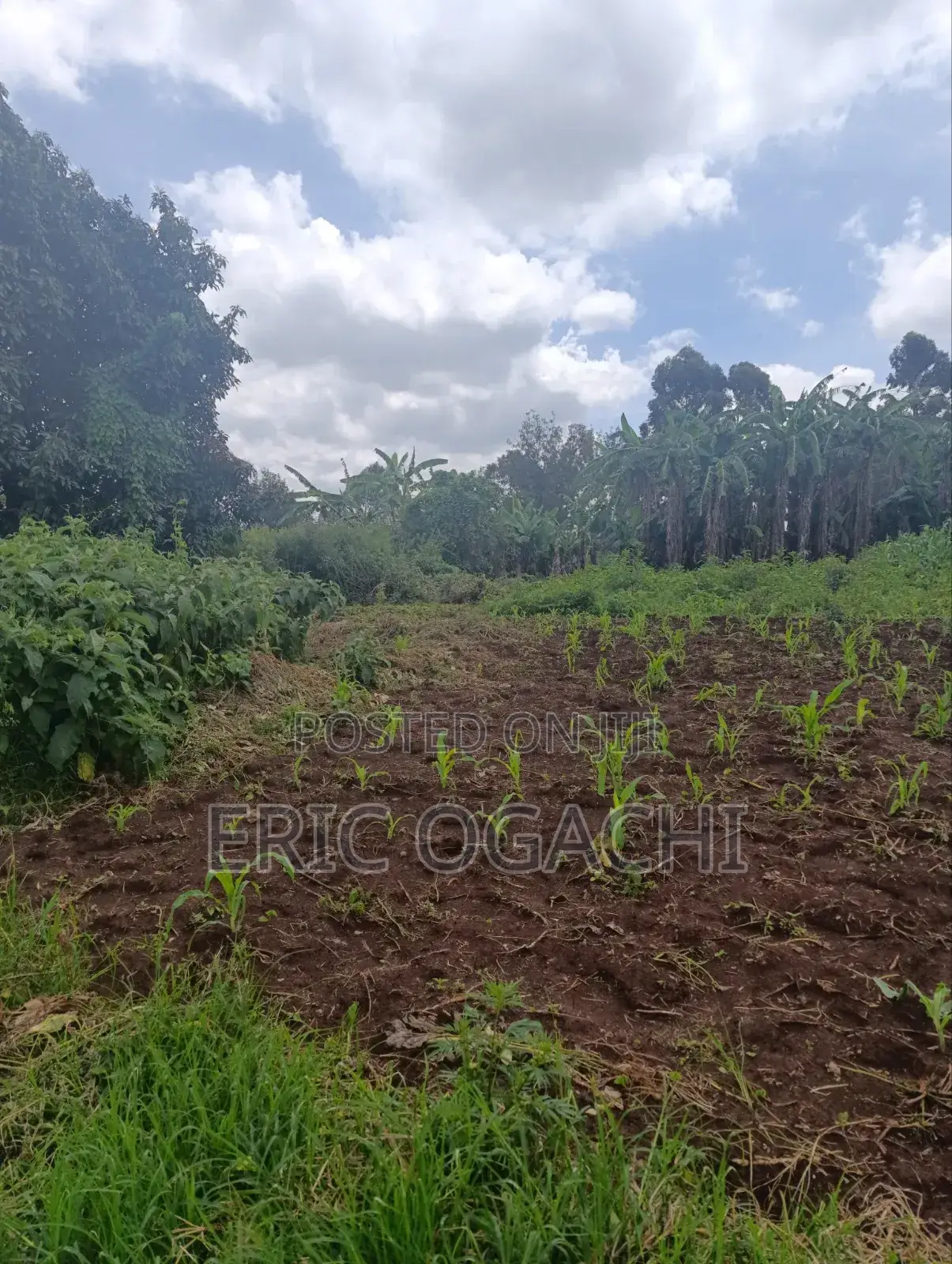 Plot for Lease in Kabete