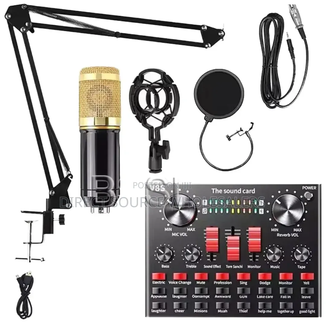 V8sk Full Set Condenser Microphone With Live Sound Card