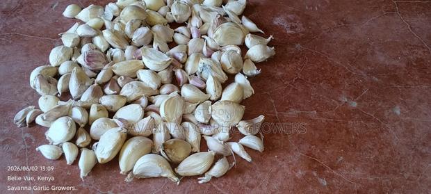 Garlic Seeds - thumbnail 3