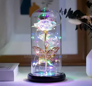 Light With Butterfly  + Led Strings_sa