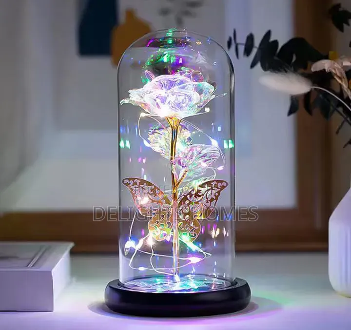 Light With Butterfly  + Led Strings_sa