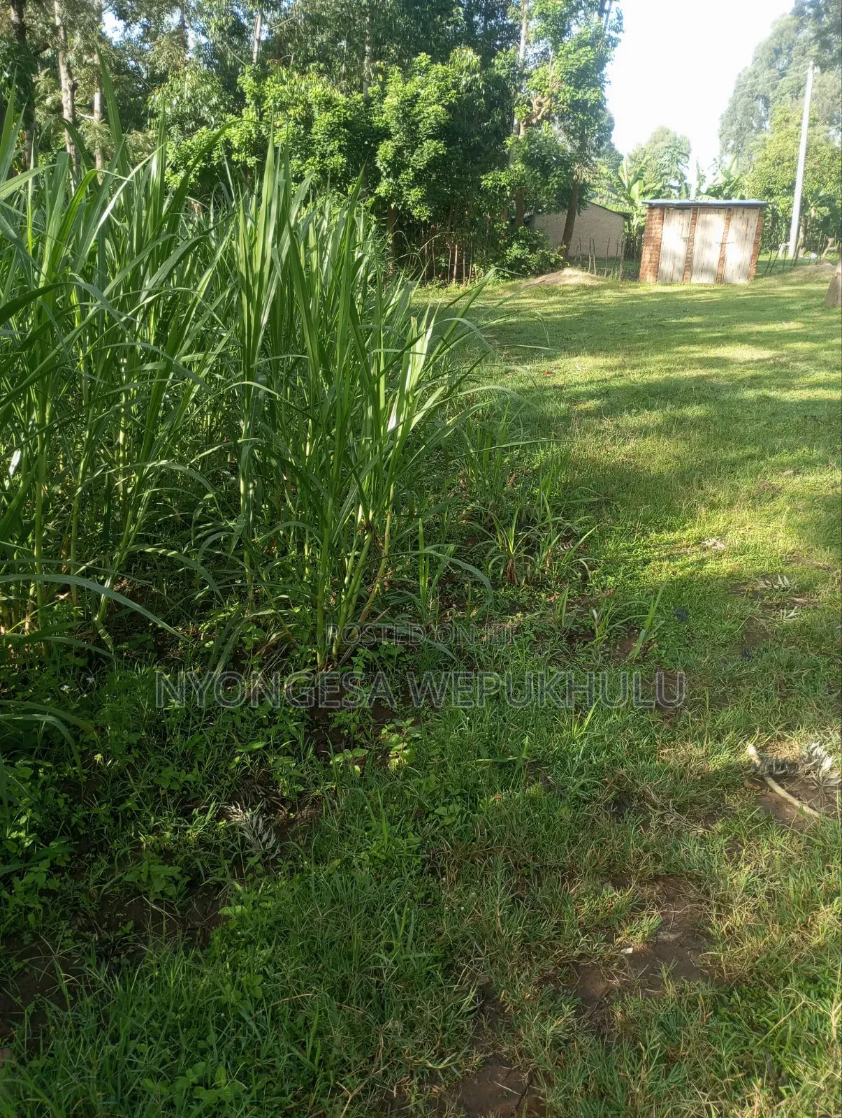3bdrm House in Kimilili/ Bituyu for sale