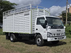 Isuzu Elf Truck 2019 White
