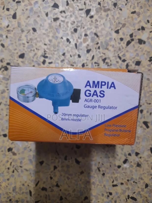 Ambia Gauge Regulator - main view