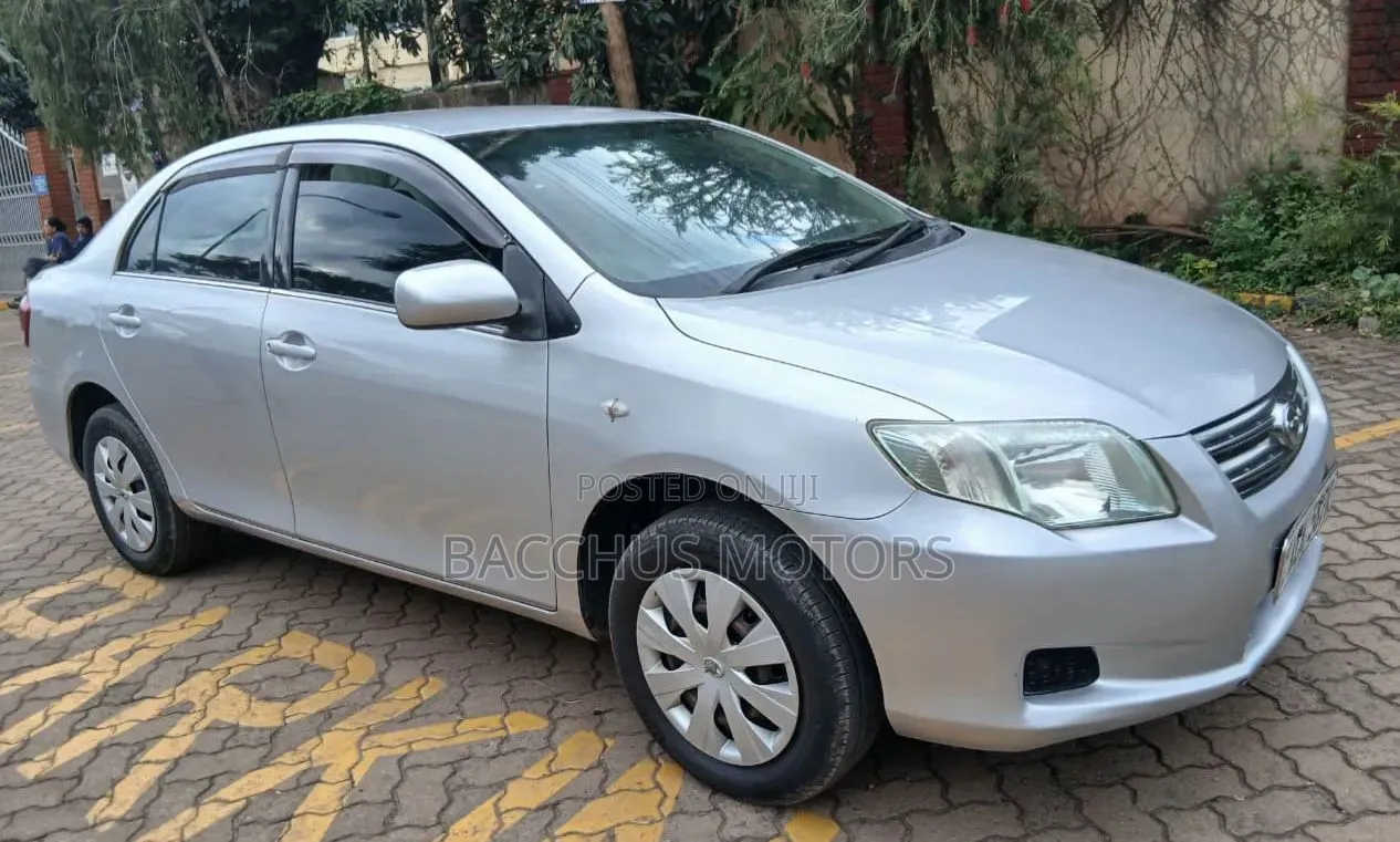 Toyota Axio 2009 Silver