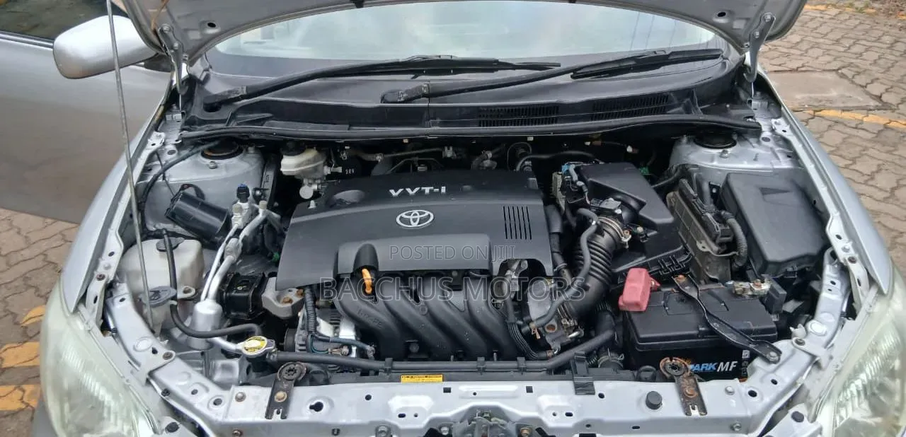 Toyota Axio 2009 Silver