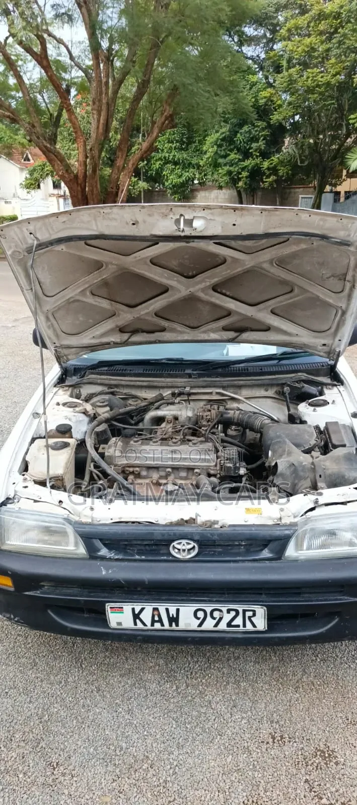 Toyota Corolla 2000 White