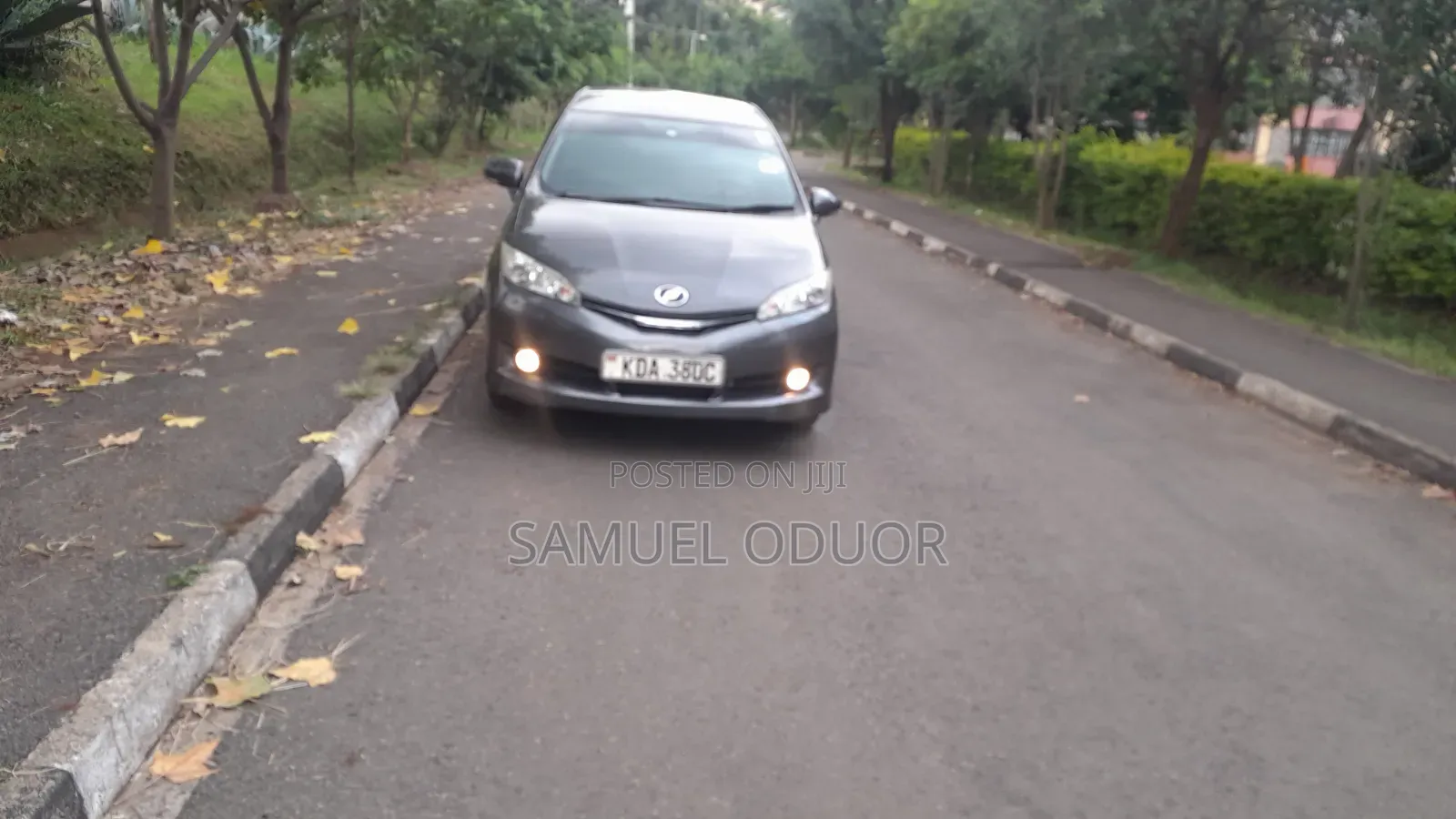 Toyota Wish 2013 Gray