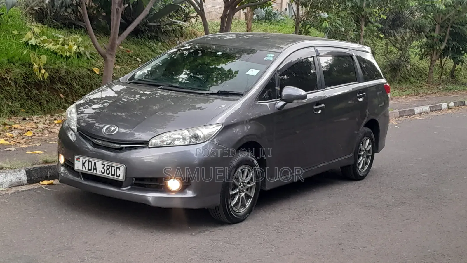 Toyota Wish 2013 Gray