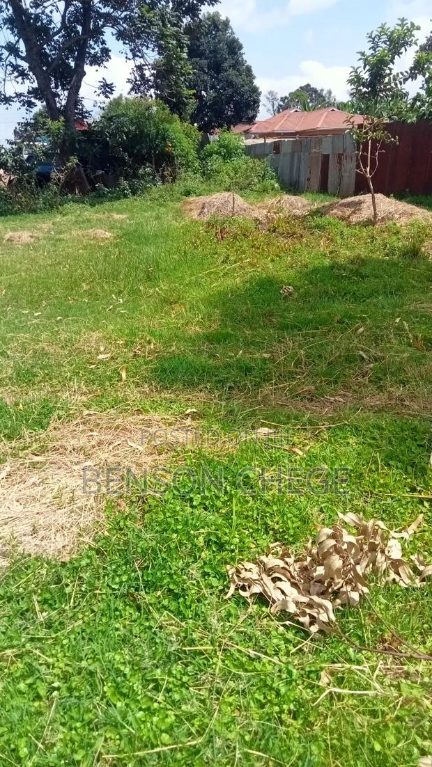 50by100 Plot for Sale in Maragua Town - thumbnail 2