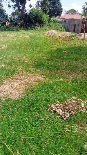 50by100 Plot for Sale in Maragua Town