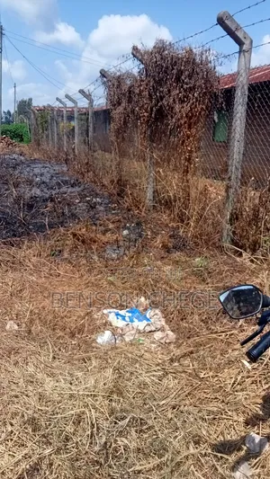 Quarter of an Acre for Sale in Maragua Town