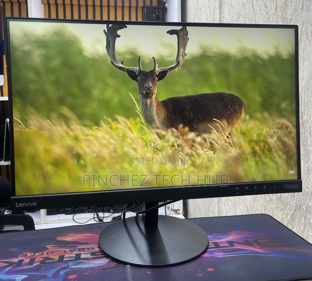 Lenovo T23i-10 23 Inch Frameless Monitor