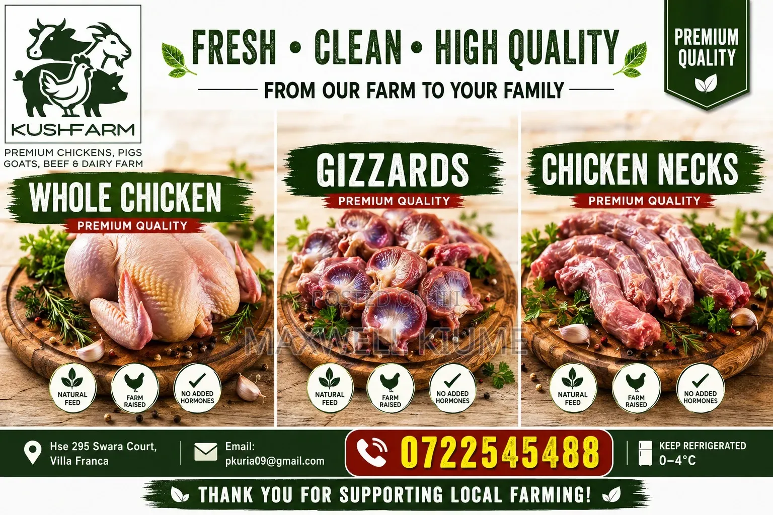 Graphic Design and Web Design Services