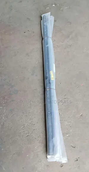 Weather Strip Nissan X-Trail Nt31