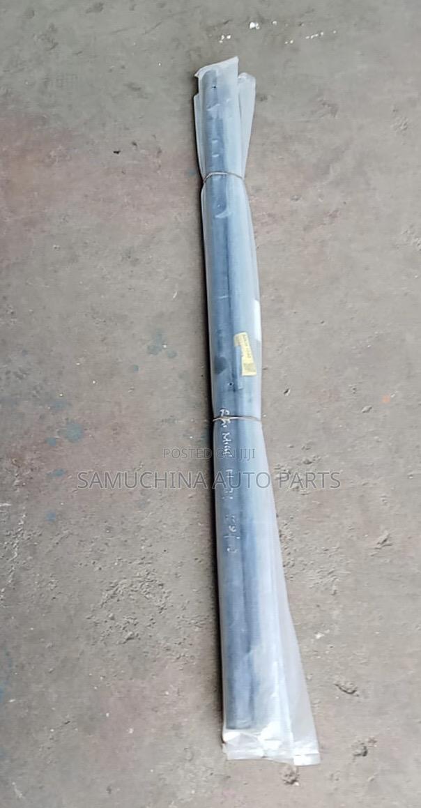 Weather Strip Nissan X-Trail Nt31
