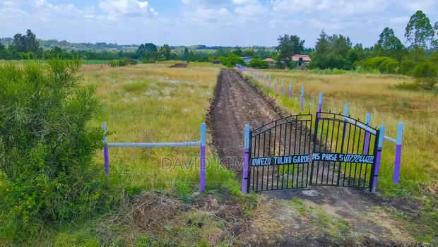 Sagana 50 by 100 Prime Plots