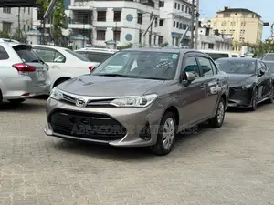 Toyota Axio 2019