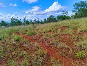 Crest View Gardens – Kenol Milimani