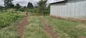 Prime 50 by 100 Plot at Ruiru