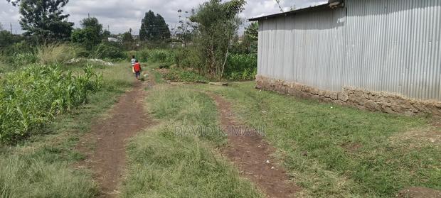 Prime 50 by 100 Plot at Ruiru