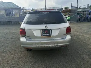 Volkswagen Golf 2010 Silver