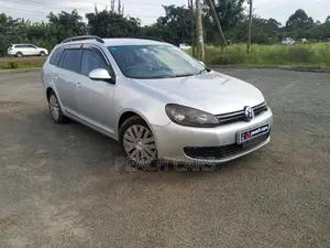 Volkswagen Golf 2010 Silver