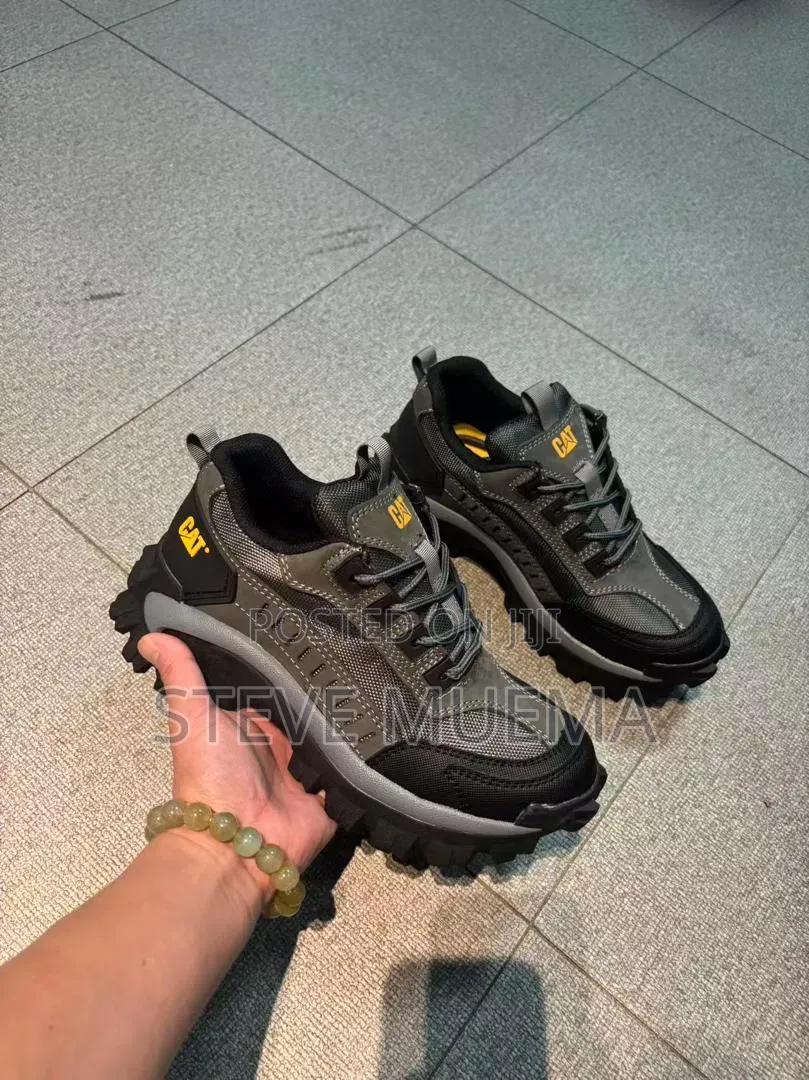 Cat Low Shoes