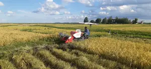 Mini Rice/Ndengu Harvester