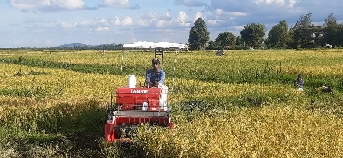 Mini Rice/Ndengu Harvester