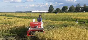 Mini Rice/Ndengu Harvester