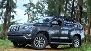 Toyota Land Cruiser Prado Kakadu 2020 Gray