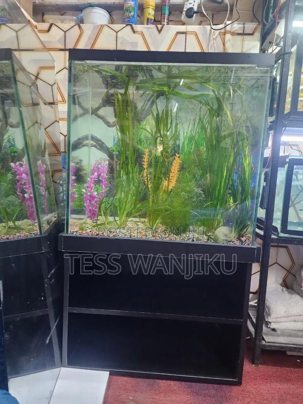 Aquarium Tank