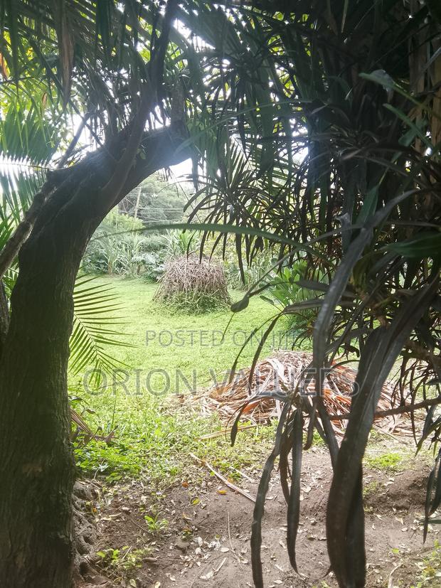 1bdrm Duplex in Milimani, Hurlingham for rent - thumbnail 8