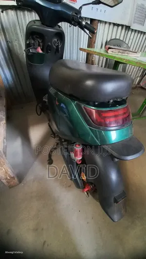 Captain CP150-10 2025 Green