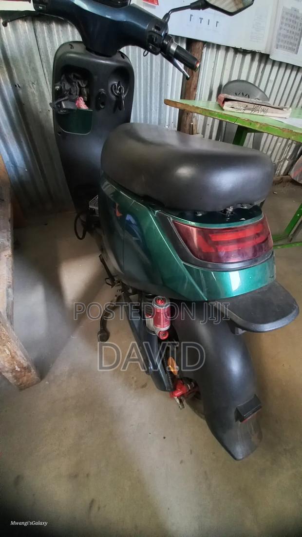 Captain CP150-10 2025 Green
