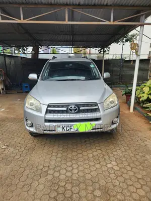 Toyota RAV4 2009 Silver