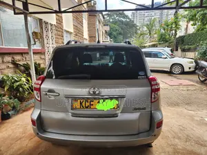 Toyota RAV4 2009 Silver