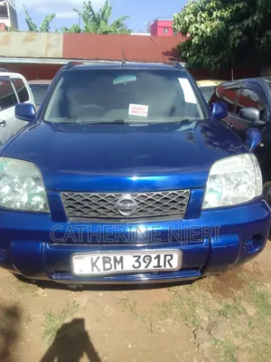 Nissan X-Trail 2003 Blue