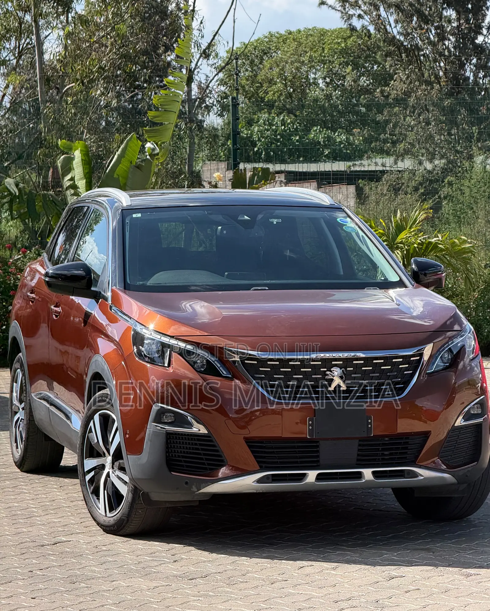 Peugeot 3008 2019 Brown