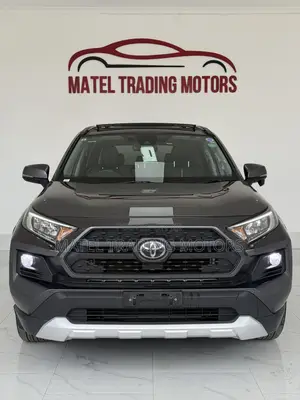 Toyota RAV4 Adventure 2019 Gray